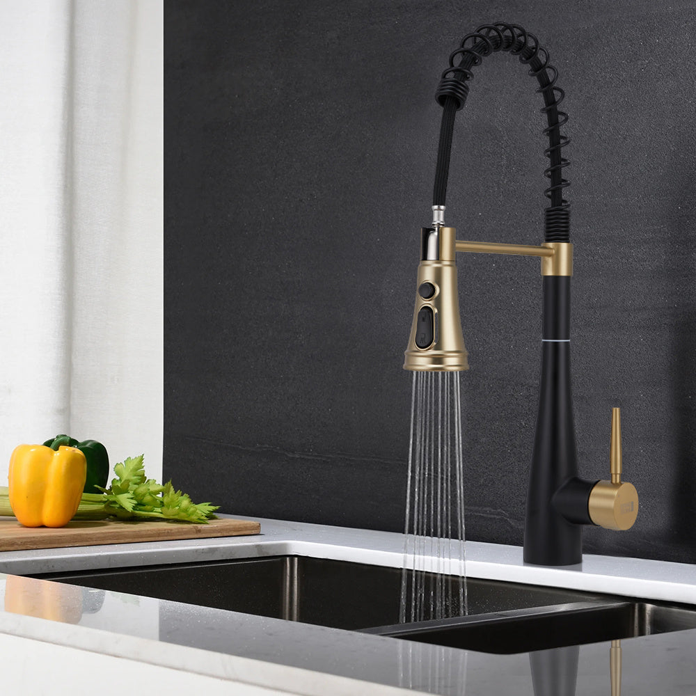 Prerinse Pull Down Swivel Kitchen Faucet,Black and Gold