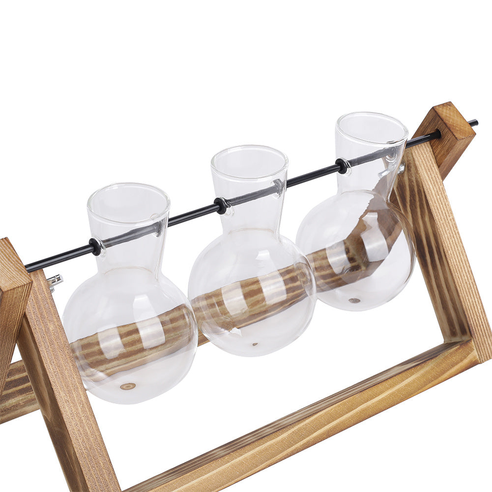 Modern 3pcs Bulb Glass Terrariums with Wood Stand Set