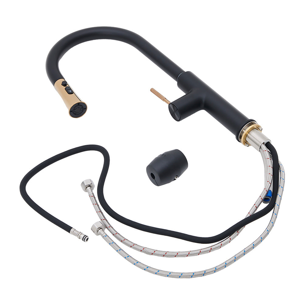 Black Kitchen Sink Faucet with Pull Out Sprayer