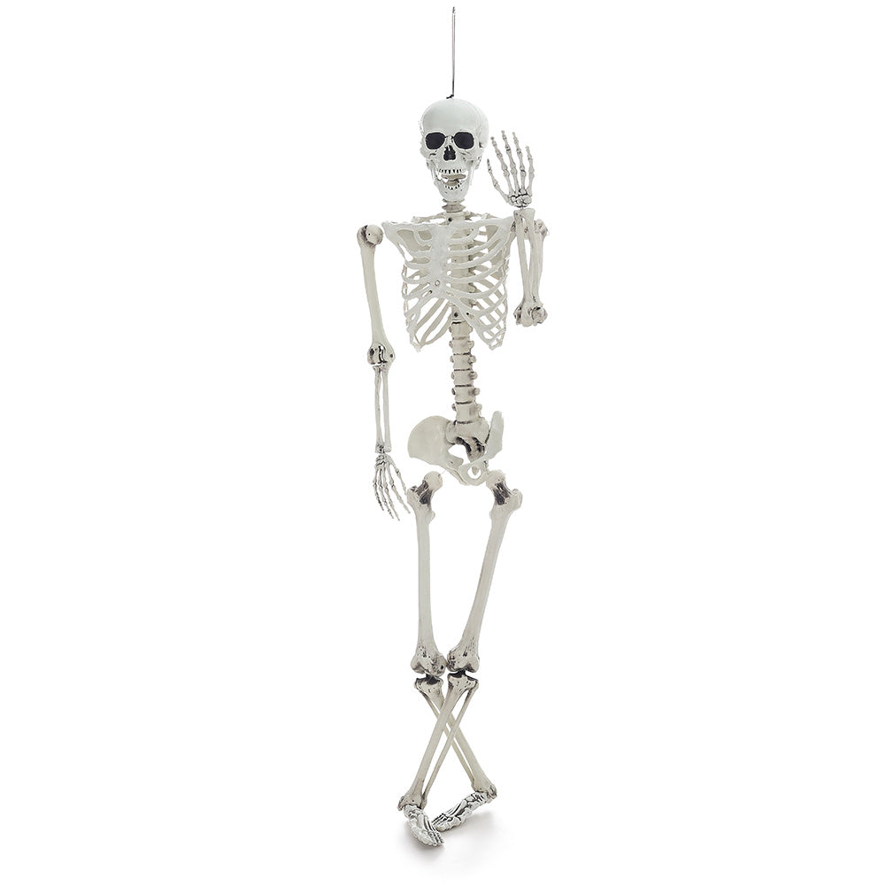 Halloween Realistic Skeleton Prop Decoration Posable Joints