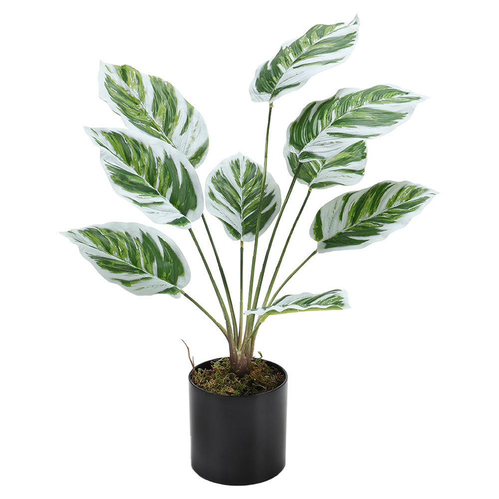 Artificial Outdoor Garden Green Plants with Plastic Pot, Calathea White Fusion