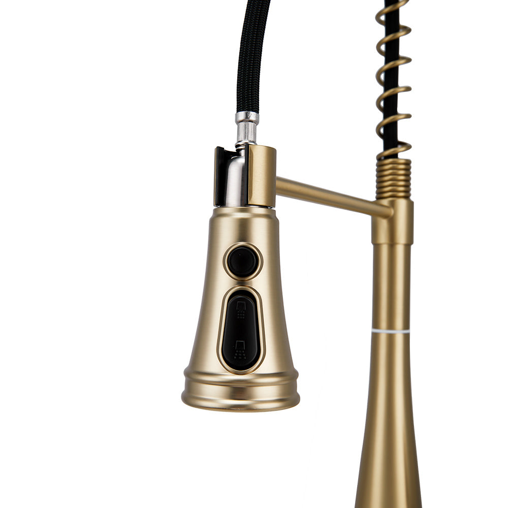 Prerinse Pull Down Swivel Kitchen Faucet,Golden