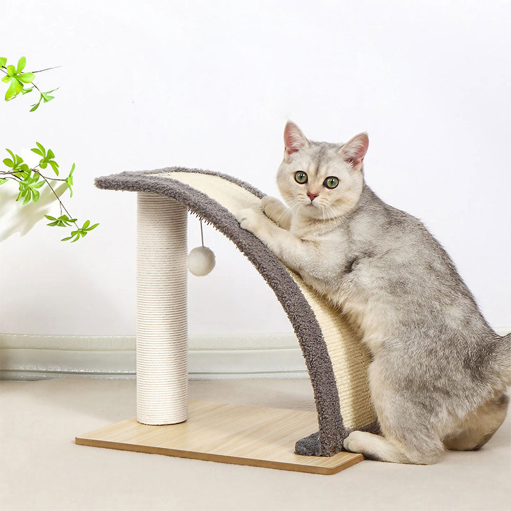 Slope Shape Sisal Cat Scratching Post with Backscratcher and Ball Toy