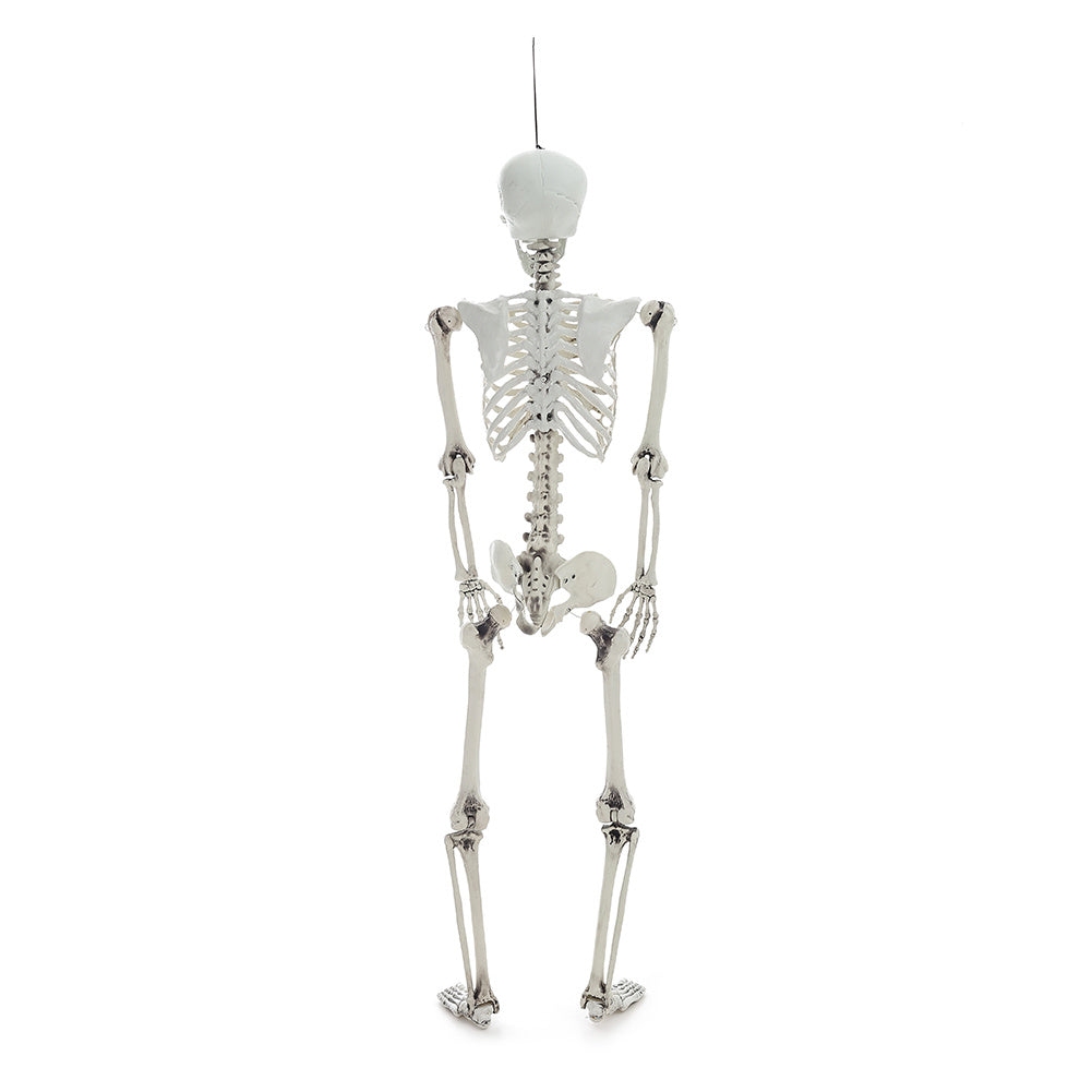 Halloween Realistic Skeleton Prop Decoration Posable Joints
