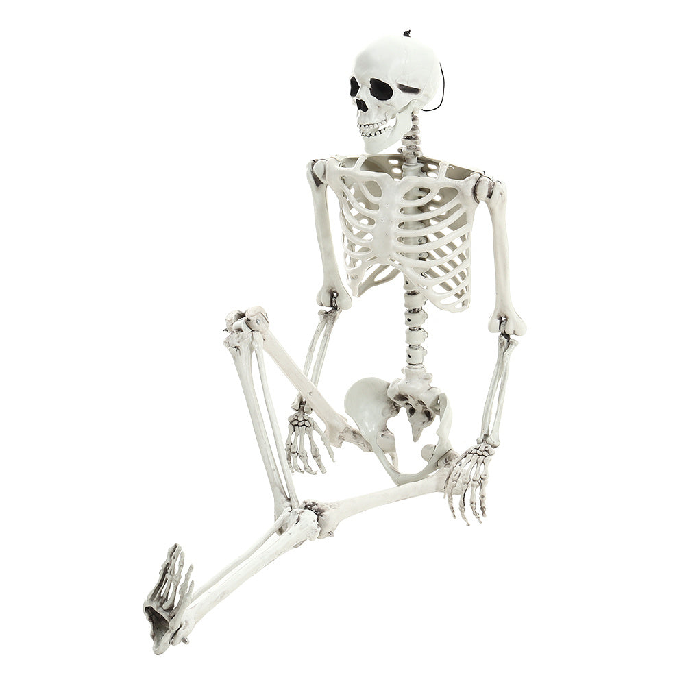 Halloween Realistic Full Body Skeleton Prop Decoration Posable Joints,160CM