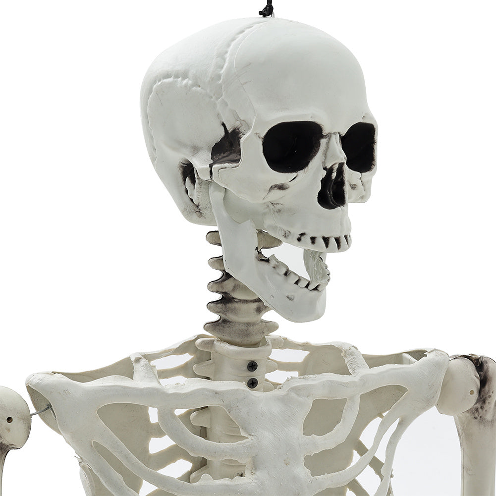 Halloween Realistic Skeleton Prop Decoration Posable Joints