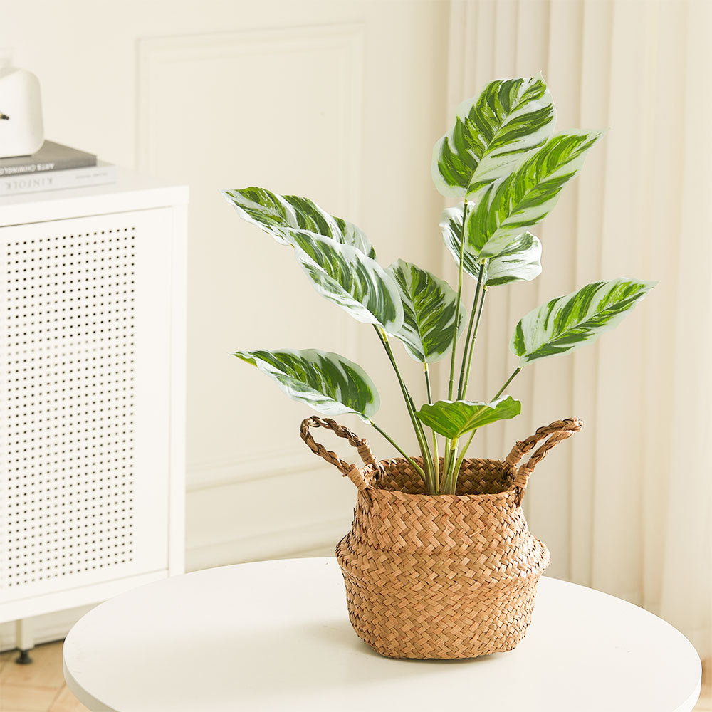 Artificial Outdoor Garden Green Plants with Plastic Pot, Calathea White Fusion