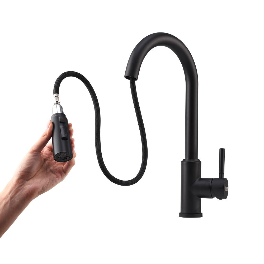 Black Stainless Steel Modern Single Handle Kitchen Faucet