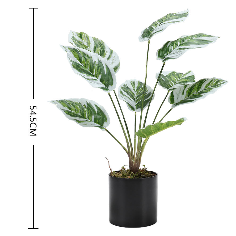 Artificial Outdoor Garden Green Plants with Plastic Pot, Calathea White Fusion