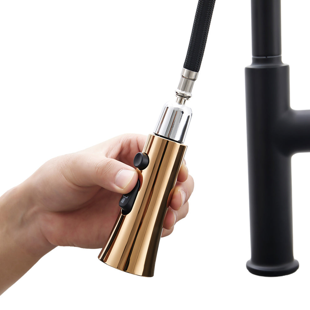 Black Kitchen Sink Faucet with Pull Out Sprayer