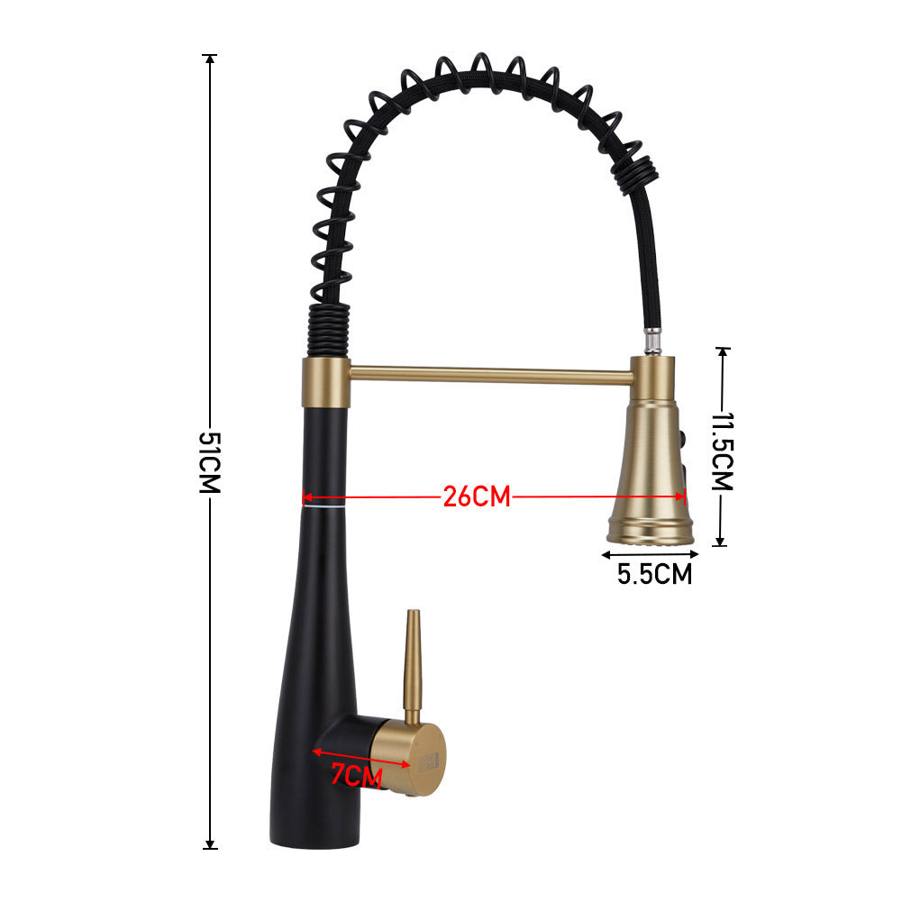 Prerinse Pull Down Swivel Kitchen Faucet,Black and Gold