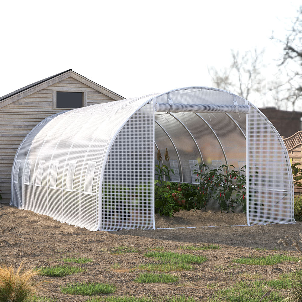 White 6M Outdoor Tunnel Greenhouse with Steel Frame
