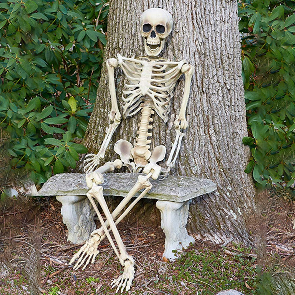Halloween Realistic Full Body Skeleton Prop Decoration Posable Joints,160CM