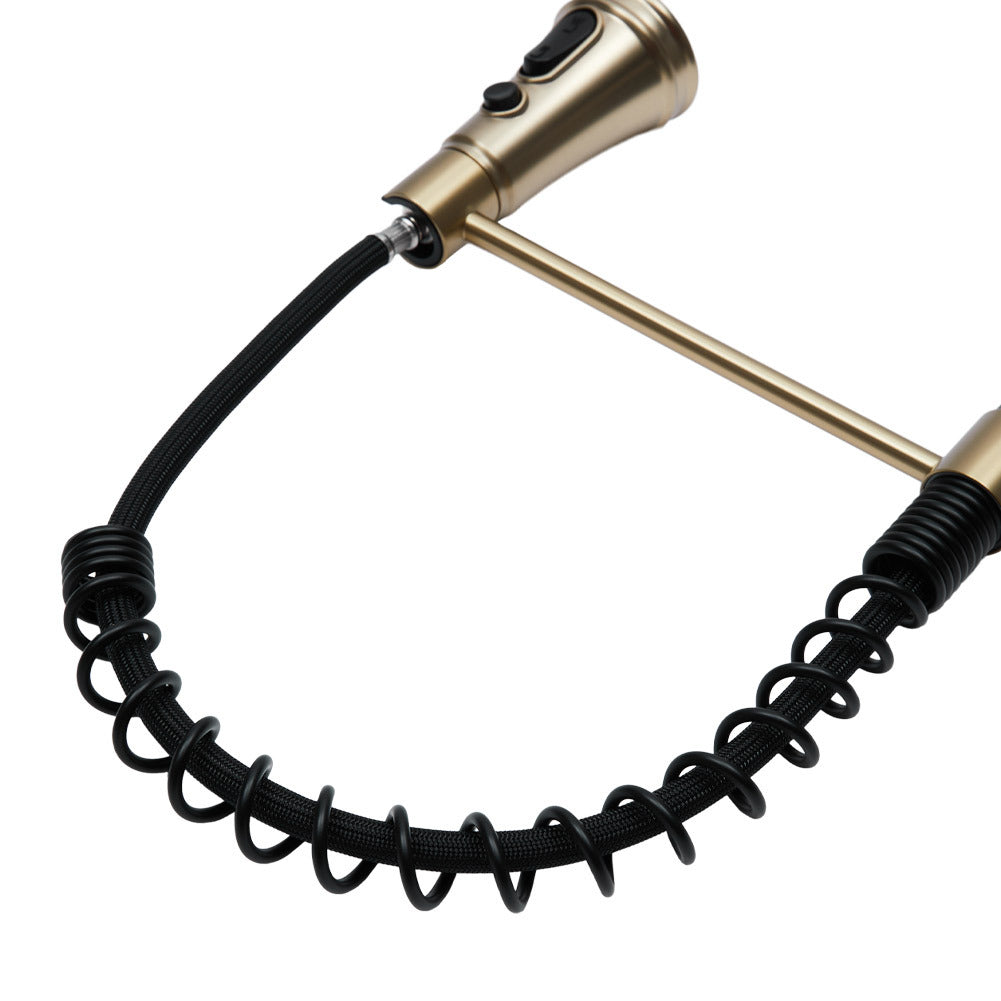 Prerinse Pull Down Swivel Kitchen Faucet,Black and Gold