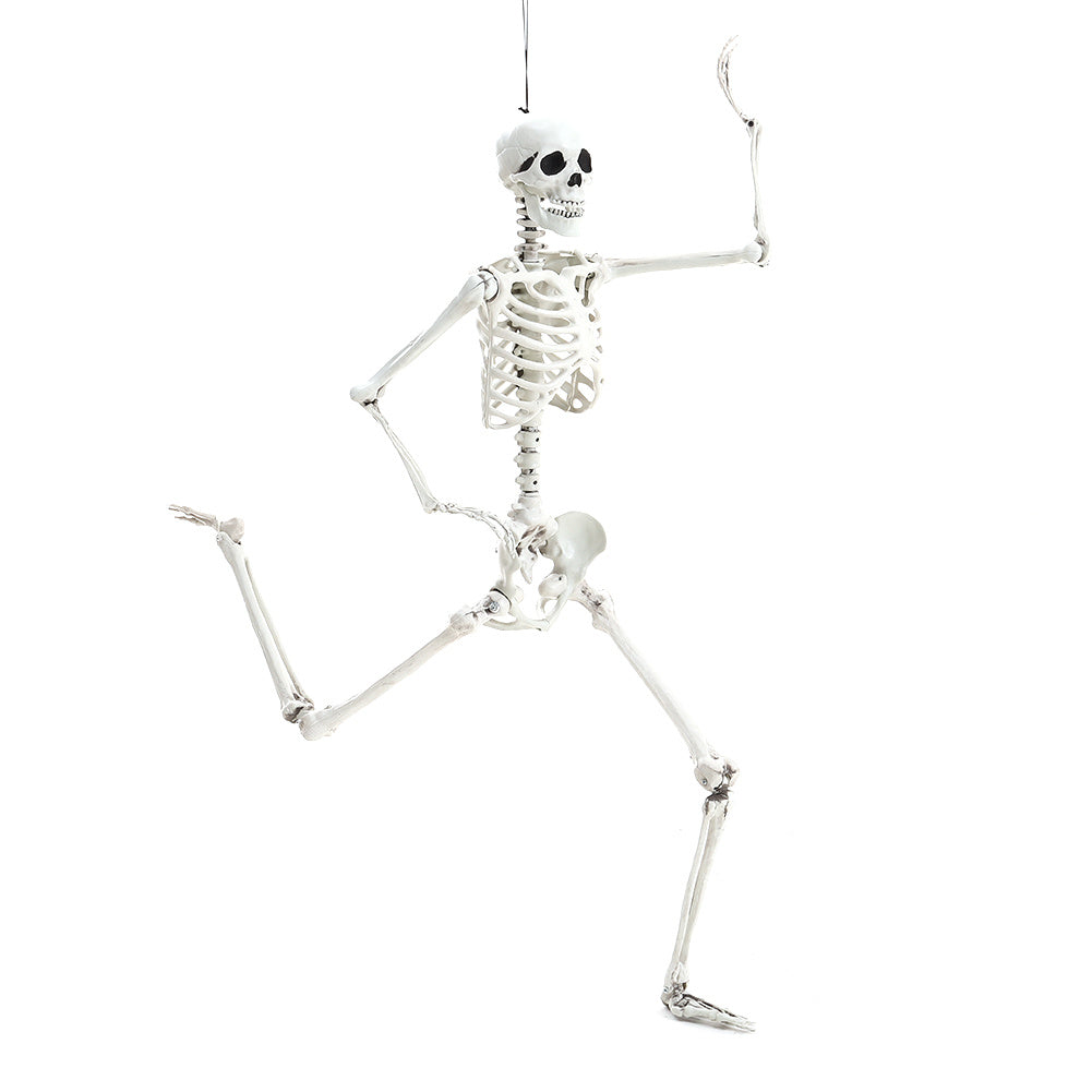 Halloween Realistic Full Body Skeleton Prop Decoration Posable Joints,160CM
