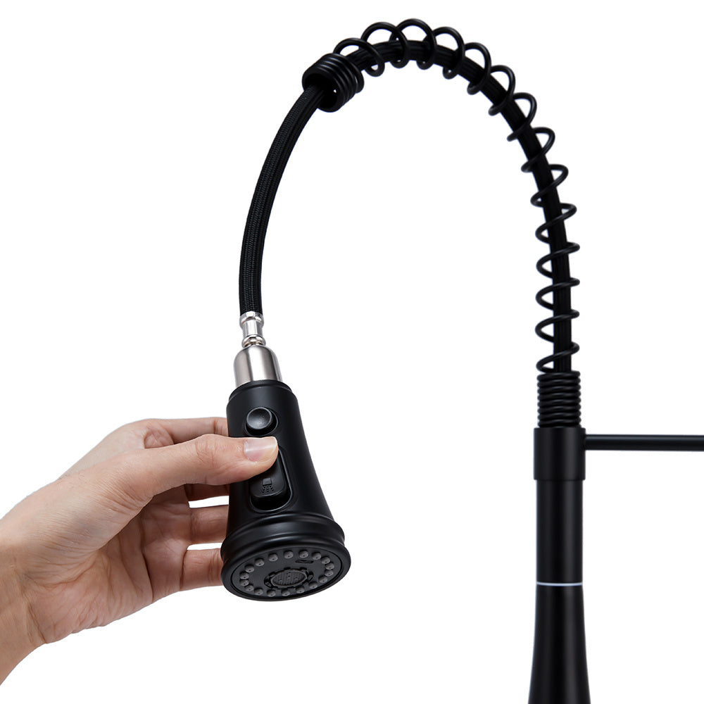 Prerinse Pull Down Swivel Kitchen Faucet,Black