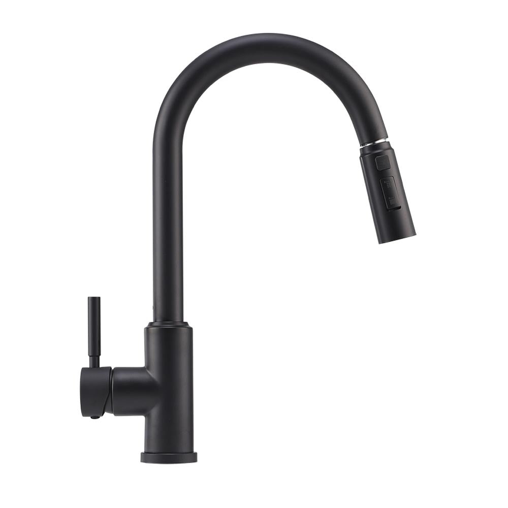 Black Stainless Steel Modern Single Handle Kitchen Faucet