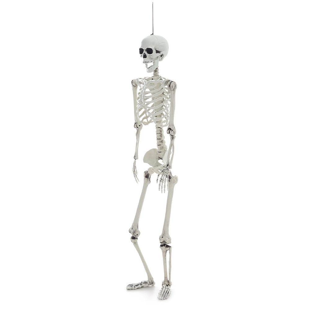 Halloween Realistic Skeleton Prop Decoration Posable Joints