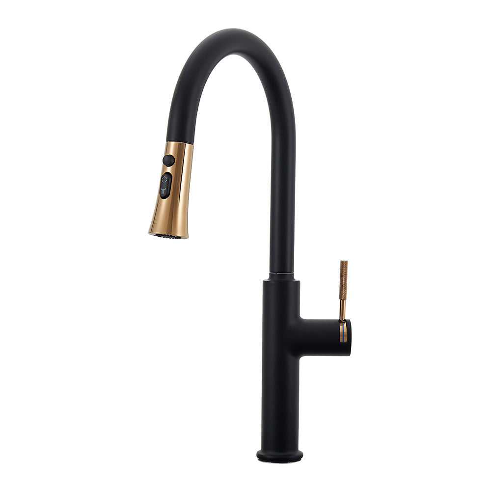 Black Kitchen Sink Faucet with Pull Out Sprayer