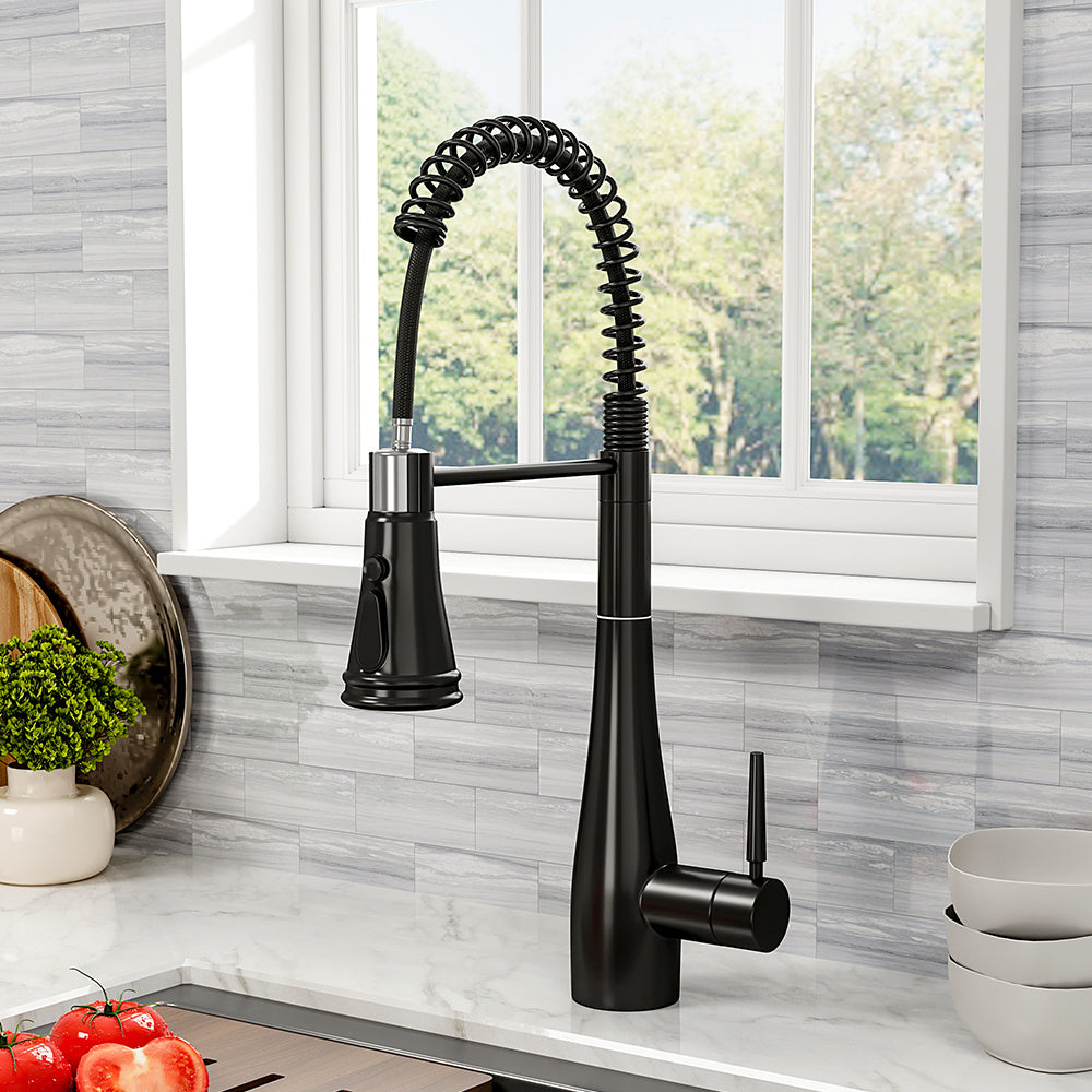 Prerinse Pull Down Swivel Kitchen Faucet,Black
