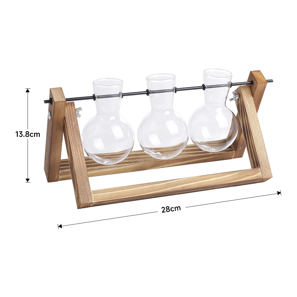Modern 3pcs Bulb Glass Terrariums with Wood Stand Set