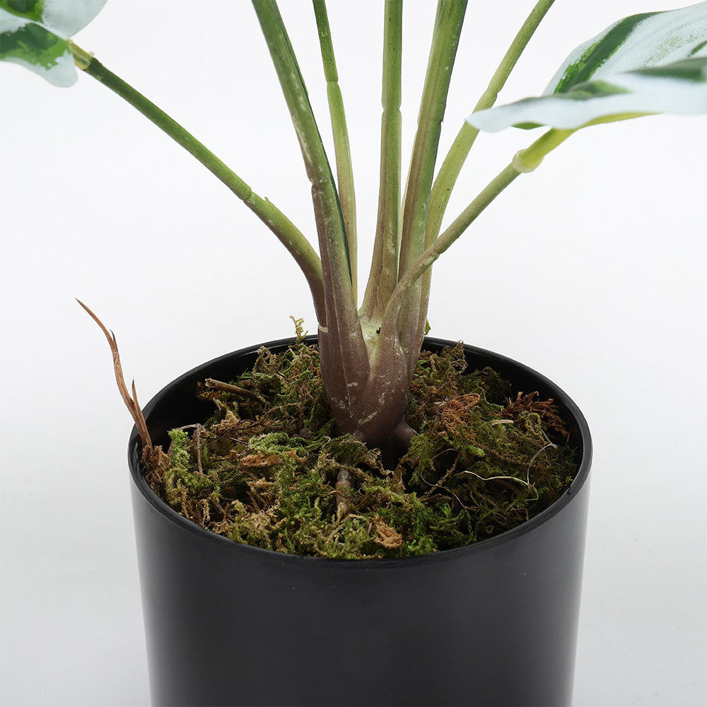 Artificial Outdoor Garden Green Plants with Plastic Pot, Calathea White Fusion