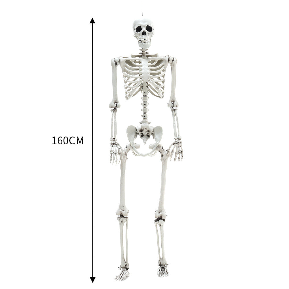 Halloween Realistic Full Body Skeleton Prop Decoration Posable Joints,160CM