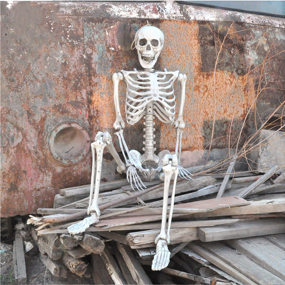 Halloween Realistic Full Body Skeleton Prop Decoration Posable Joints,160CM