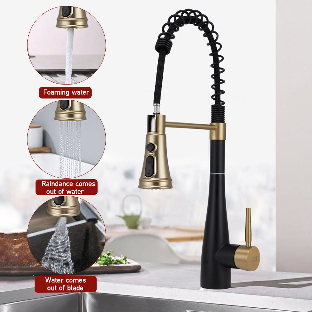 Prerinse Pull Down Swivel Kitchen Faucet,Black and Gold