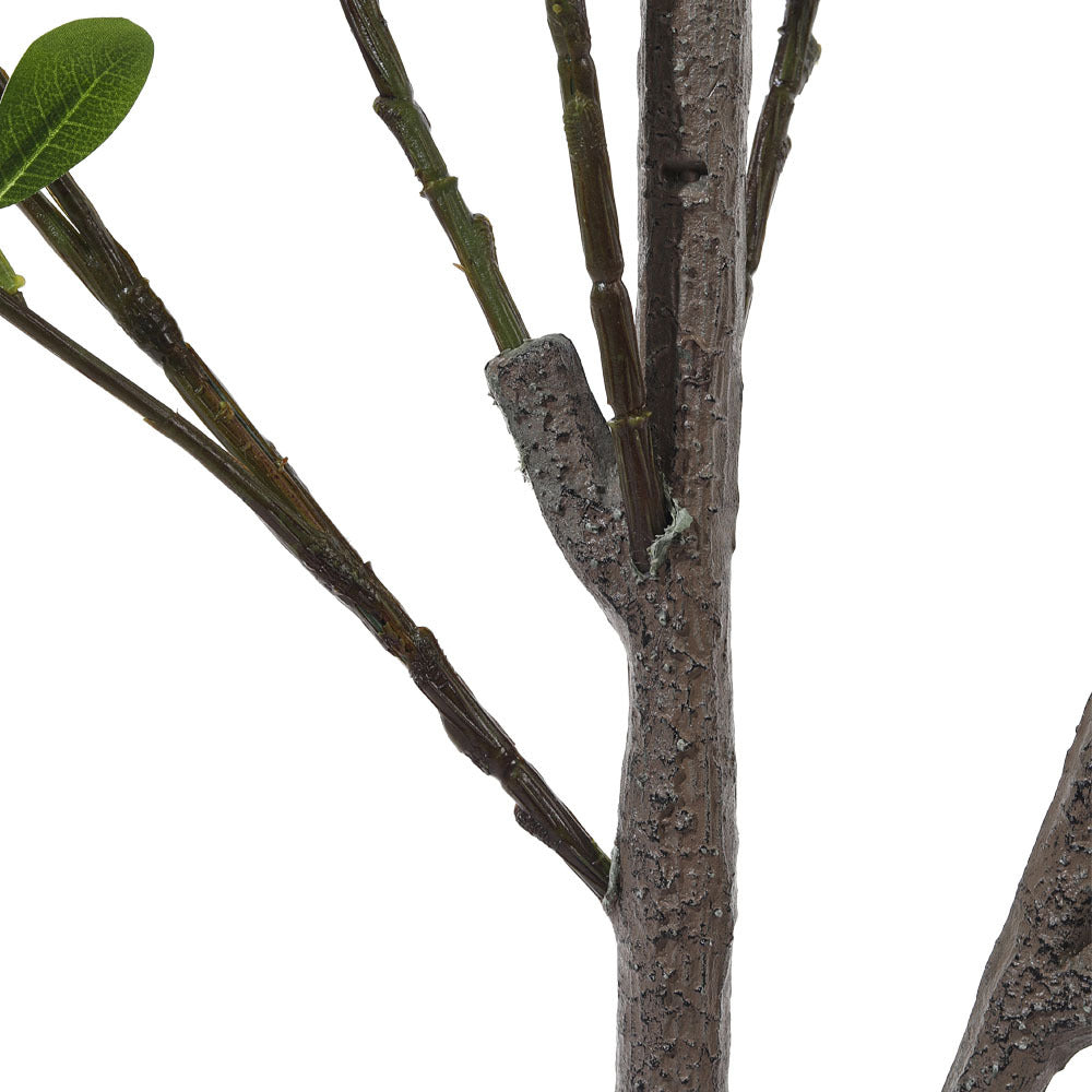 Green 160cm Indoor Outdoor Decor Artificial Frangipani Blossom Tree in Pot