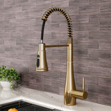 Prerinse Pull Down Swivel Kitchen Faucet,Golden