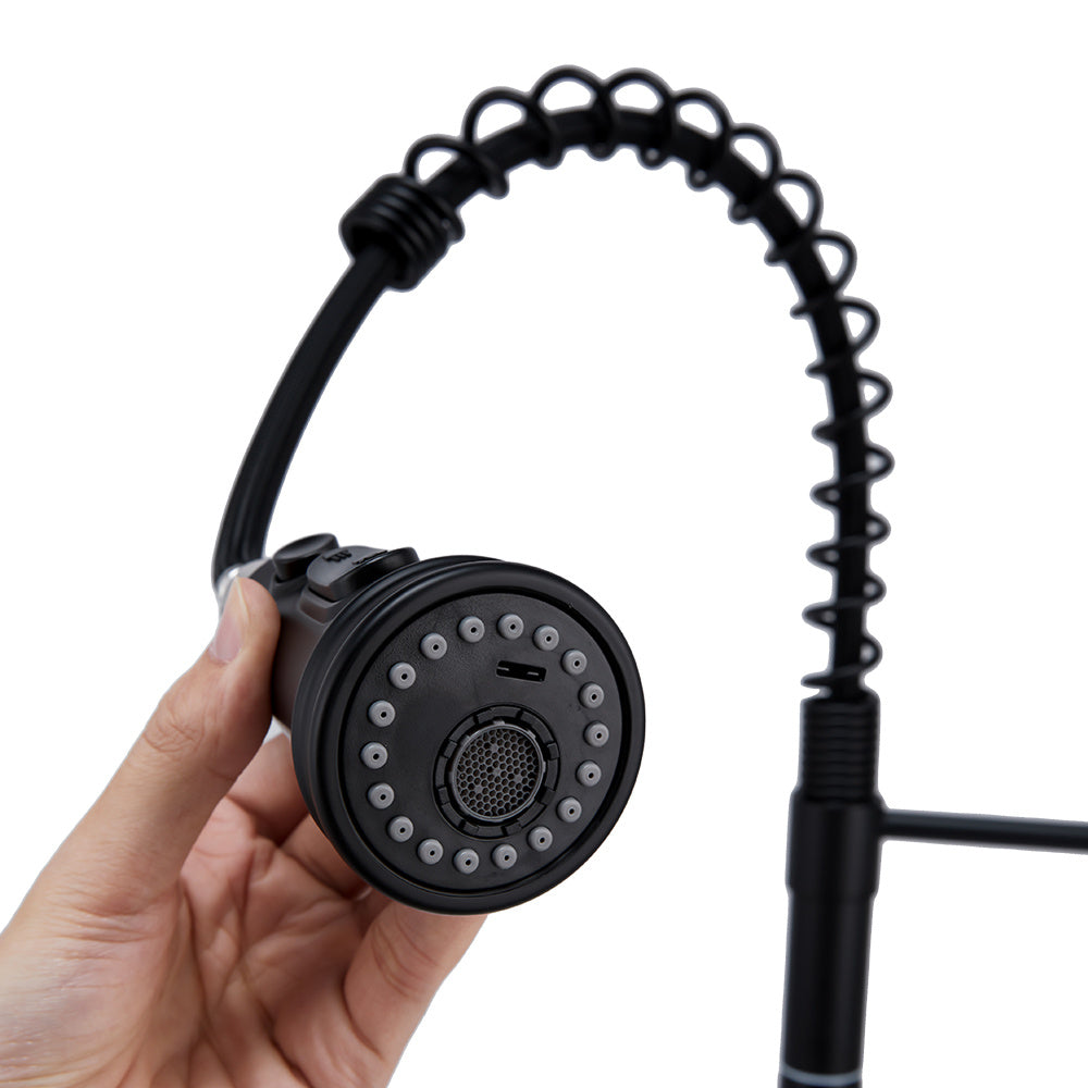 Prerinse Pull Down Swivel Kitchen Faucet,Black