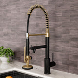 Swivel Kitchen Mixer Tap Dual Spout with Pull Down Sprayer and Pot Filler,Black and Golden