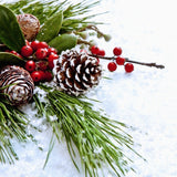 30 Pieces Christmas Tree Hanging Ornament Set Real Pine Cone Dyed with White Paint