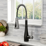 Prerinse Pull Down Swivel Kitchen Faucet,Black and Chrome