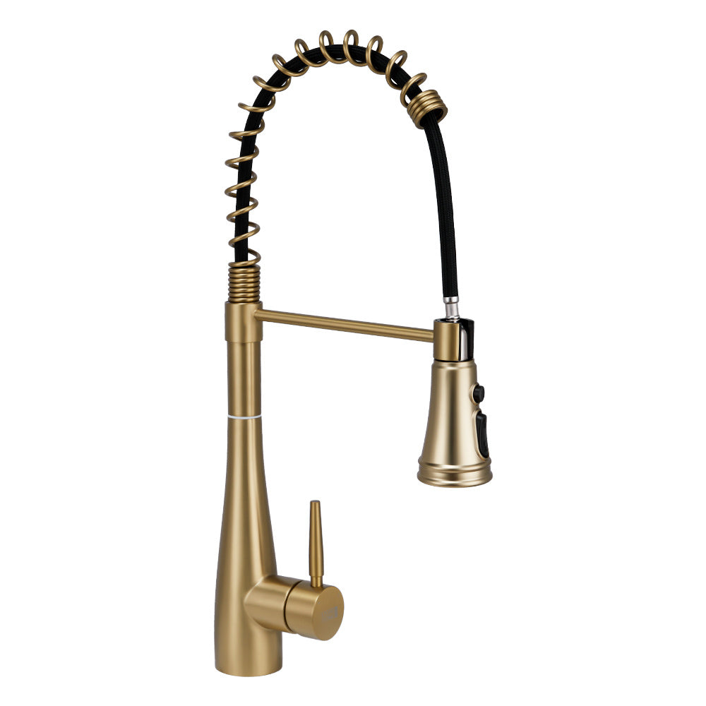 Prerinse Pull Down Swivel Kitchen Faucet,Golden