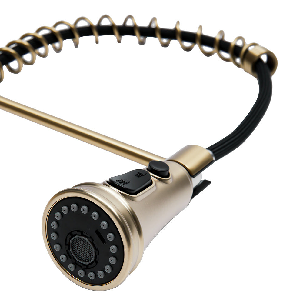 Prerinse Pull Down Swivel Kitchen Faucet,Golden