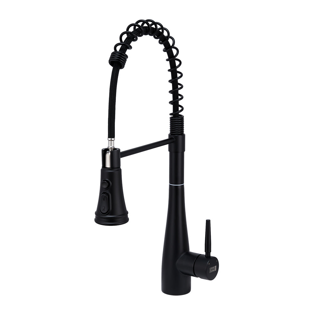 Prerinse Pull Down Swivel Kitchen Faucet,Black