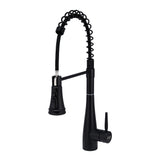 Prerinse Pull Down Swivel Kitchen Faucet,Black