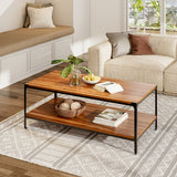 Modern Walnut Industrial Metal Frame Coffee Table with Storage Two Tier