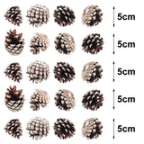 30 Pieces Christmas Tree Hanging Ornament Set Real Pine Cone Dyed with White Paint