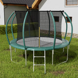Dark Green 12FT Outdoor Enclosure Trampoline with Ladder