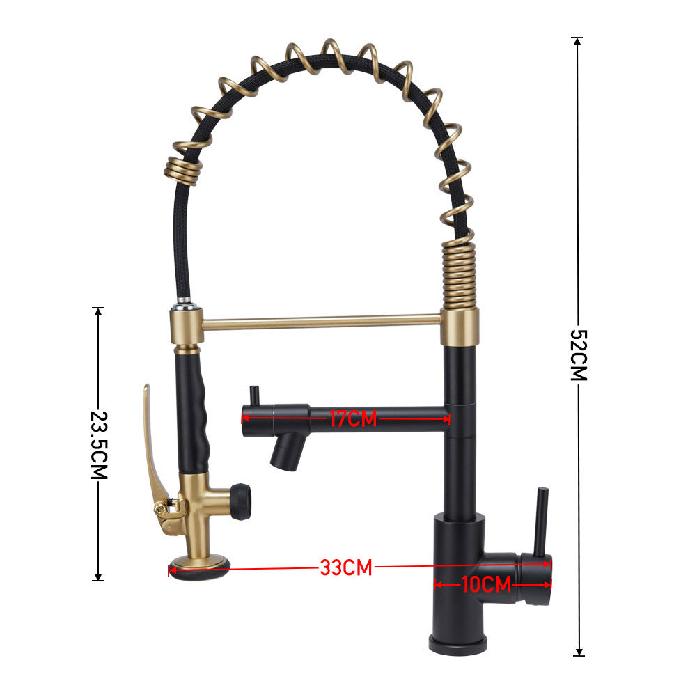 Swivel Kitchen Mixer Tap Dual Spout with Pull Down Sprayer and Pot Filler,Black and Golden