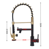 Swivel Kitchen Mixer Tap Dual Spout with Pull Down Sprayer and Pot Filler,Black and Golden